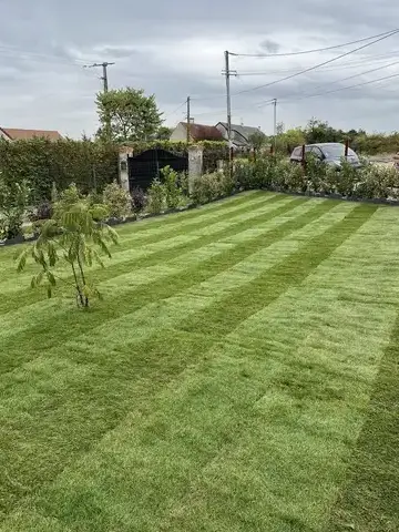 abattage à Blois - image 3