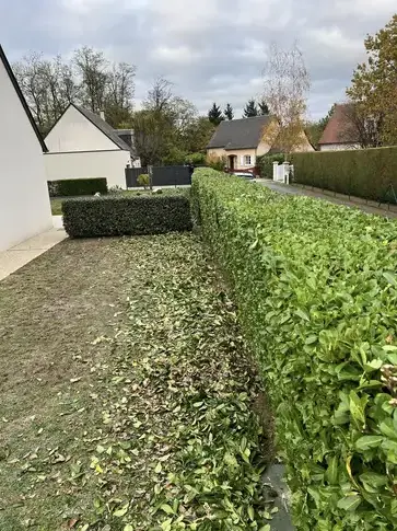 abattage à Blois - image 4