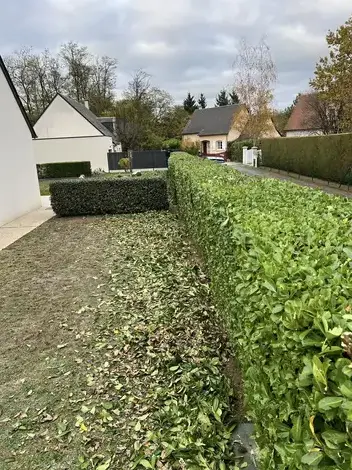 abattage à Le Controis-en-Sologne - image 2