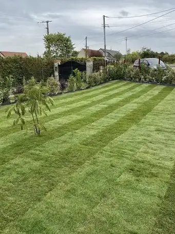 abattage Saint-Avertin-5