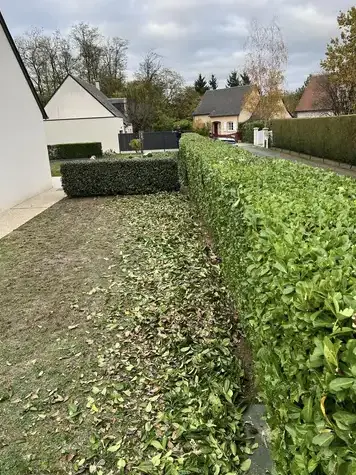 abattage à Tours - image 3