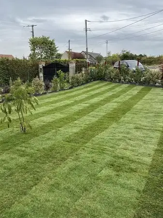 abattage à Tours - image 4