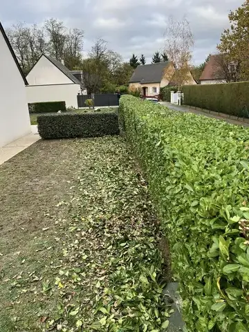 aménagement jardin Blois-1
