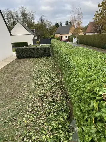 aménagement jardin Le Controis-en-Sologne-1