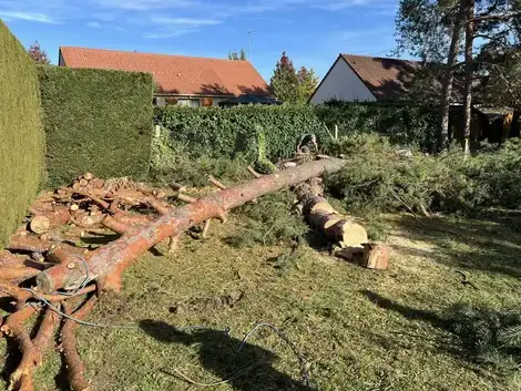 aménagement jardin à Le Controis-en-Sologne - image 2
