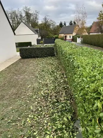 aménagement jardin Notre-Dame-d'Oé-5