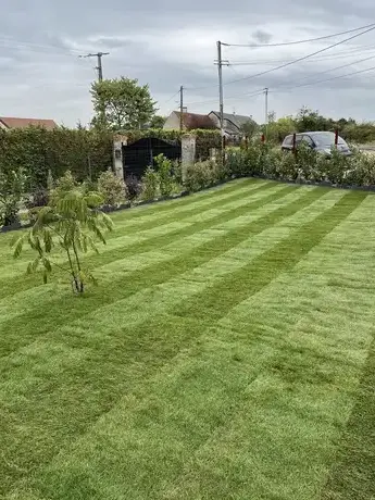 aménagement jardin Saint-Avertin-1