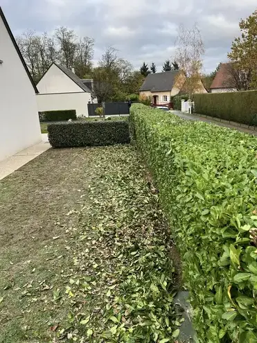aménagement jardin à Saint-Avertin - image 4