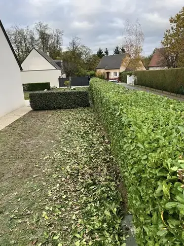 aménagement jardin Saint-Cyr-sur-Loire-1