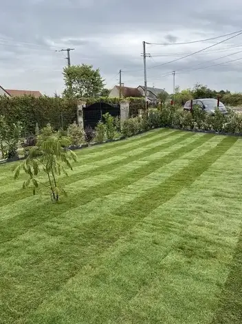 aménagement jardin à Saint-Cyr-sur-Loire - image 2