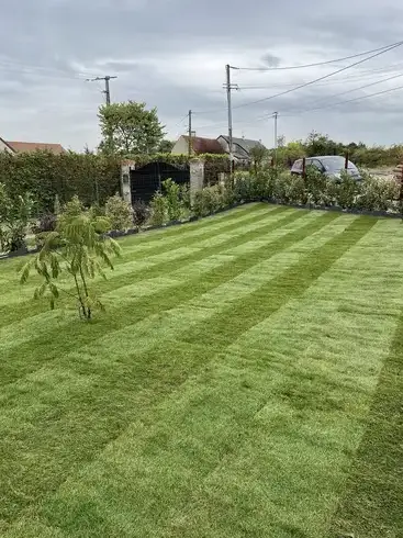 aménagement jardin Tour-en-Sologne-1