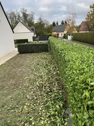 aménagement jardin à Tour-en-Sologne - image 3