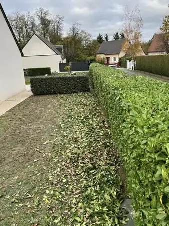 aménagement jardin à Tours - image 2