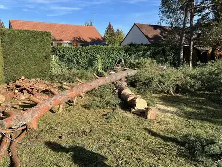 aménagement jardin à Tours - image 4