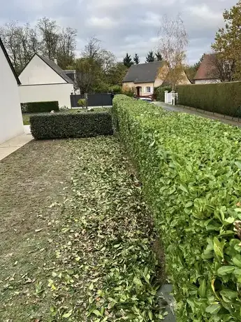 aménagement jardin Veigné-5