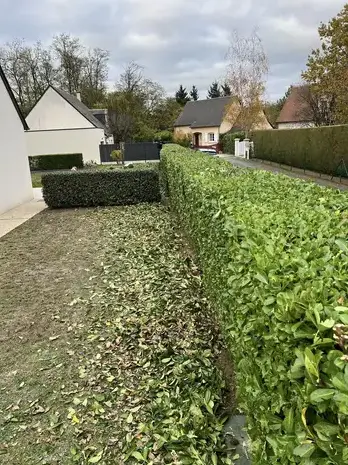 création paysagère à Le Controis-en-Sologne - image 2