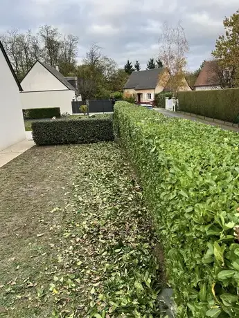 création paysagère à Mur-de-Sologne - image 4