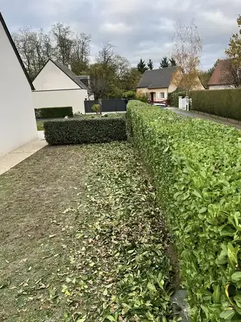 création paysagère à Saint-Cyr-sur-Loire - image 3