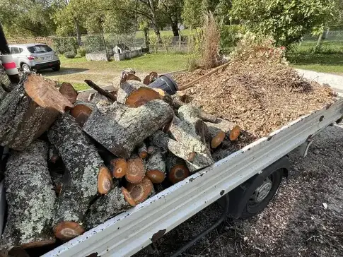 déssouchage arbre à La Chaussée-Saint-Victor - image 3