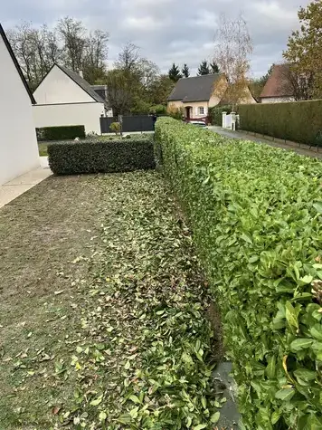 déssouchage arbre Le Controis-en-Sologne-1