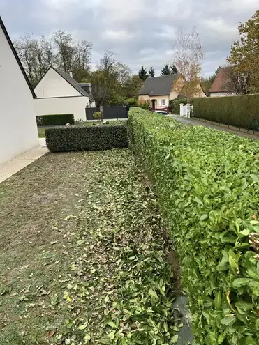 déssouchage arbre Tour-en-Sologne-5