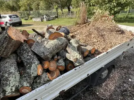 élagage à Blois - image 2