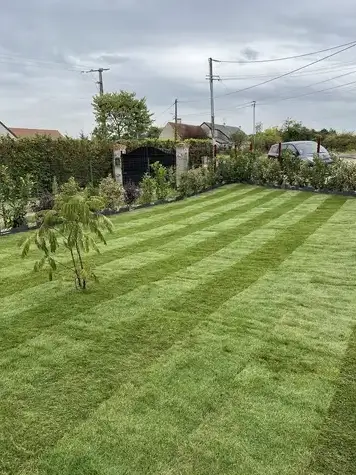 élagage Saint-Avertin-1