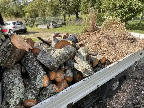 élagage à Saint-Avertin - image 4