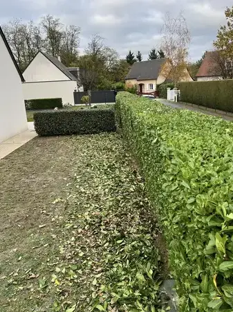 élagage Saint-Cyr-sur-Loire-5