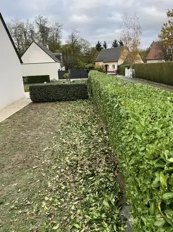 élagage Veigné-5