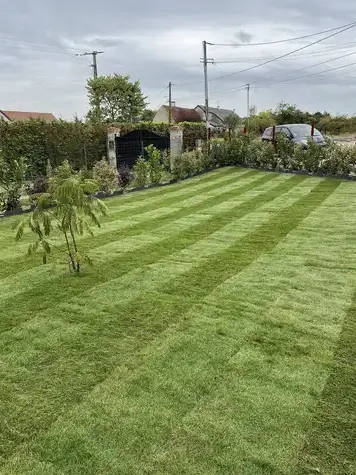 entretien jardin à Blois - image 2