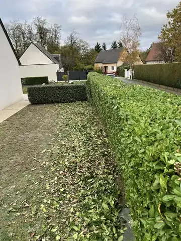 entretien jardin Blois-5