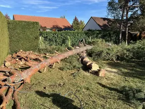 entretien jardin à Le Controis-en-Sologne - image 4