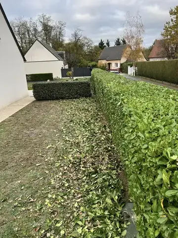 entretien jardin à Mur-de-Sologne - image 2