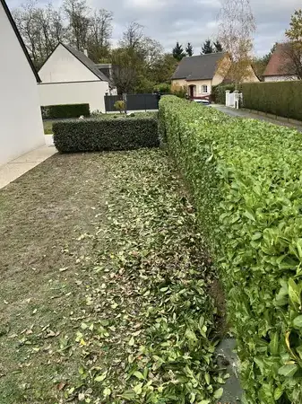 entretien jardin à Notre-Dame-d'Oé - image 3