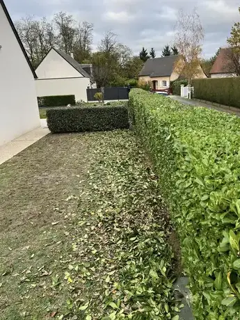 entretien jardin à Saint-Avertin - image 4