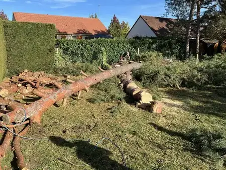 entretien jardin Saint-Avertin-5