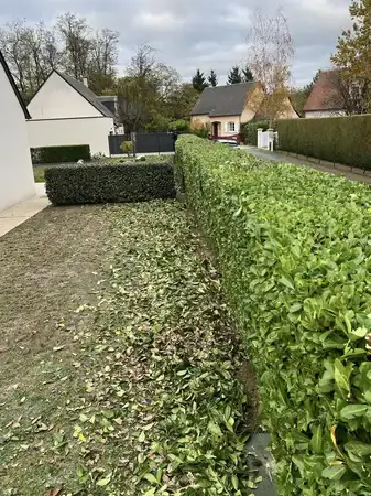 entretien jardin Saint-Cyr-sur-Loire-5