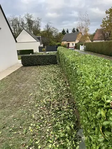 entretien jardin à Tour-en-Sologne - image 2