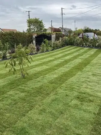 entretien jardin à Tour-en-Sologne - image 4