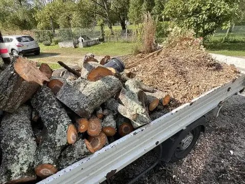 entretien jardin Tours-1