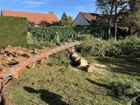 entretien jardin à Tours - image 2