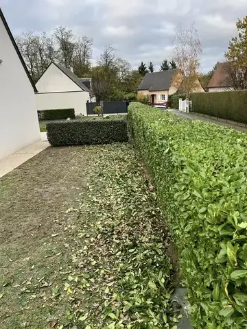 entretien jardin à Tours - image 3