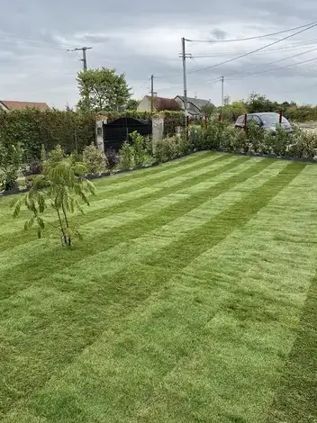 entretien jardin Tours-5