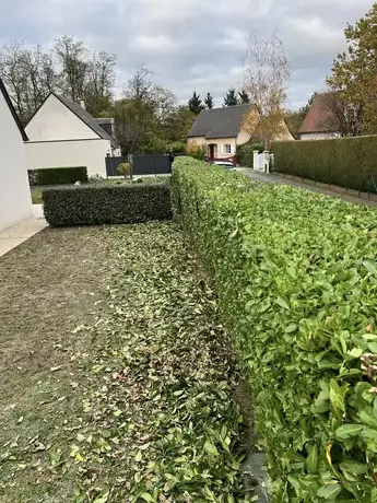 entretien jardin Veigné-5