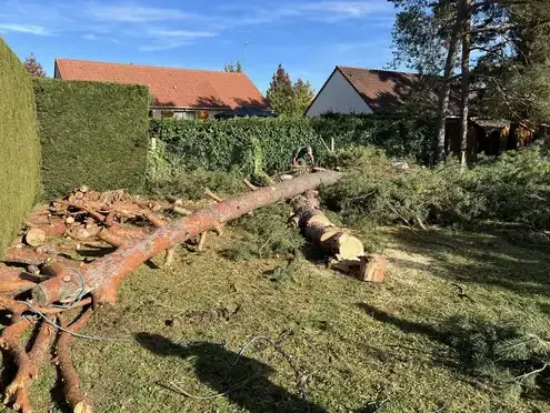 évacuation déchets verts Le Controis-en-Sologne-1
