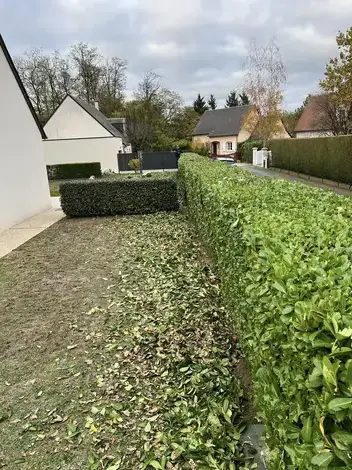 évacuation déchets verts à Le Controis-en-Sologne - image 3