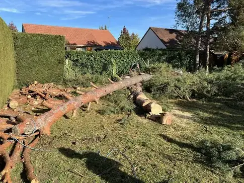 évacuation déchets verts à Mur-de-Sologne - image 3