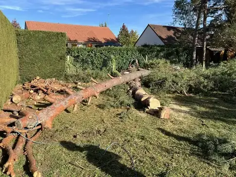 évacuation déchets verts à Notre-Dame-d'Oé - image 3