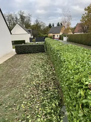 évacuation déchets verts à Tour-en-Sologne - image 2